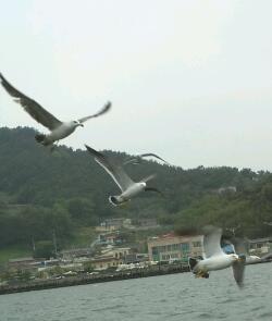 IMG497-1.jpg
