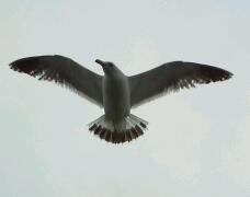 IMG491-1.jpg