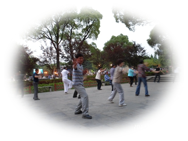 SAM_0291.JPG