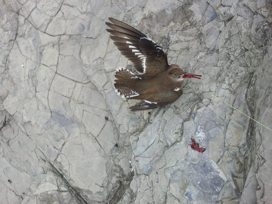 크기변환_20120513_151949.jpg